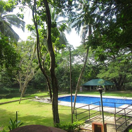 Dambulu Oya Family Park Hotell Dambulla Exteriör bild