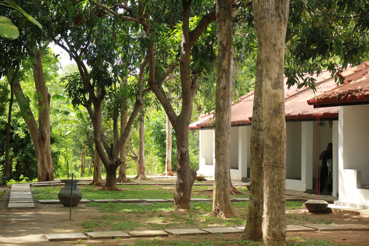 Dambulu Oya Family Park Hotell Dambulla Exteriör bild