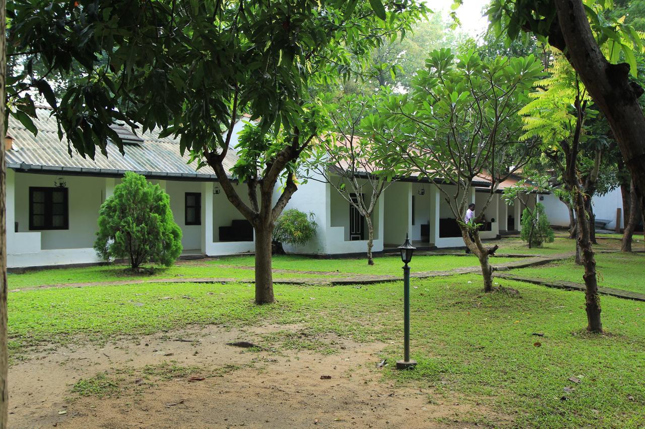 Dambulu Oya Family Park Hotell Dambulla Exteriör bild