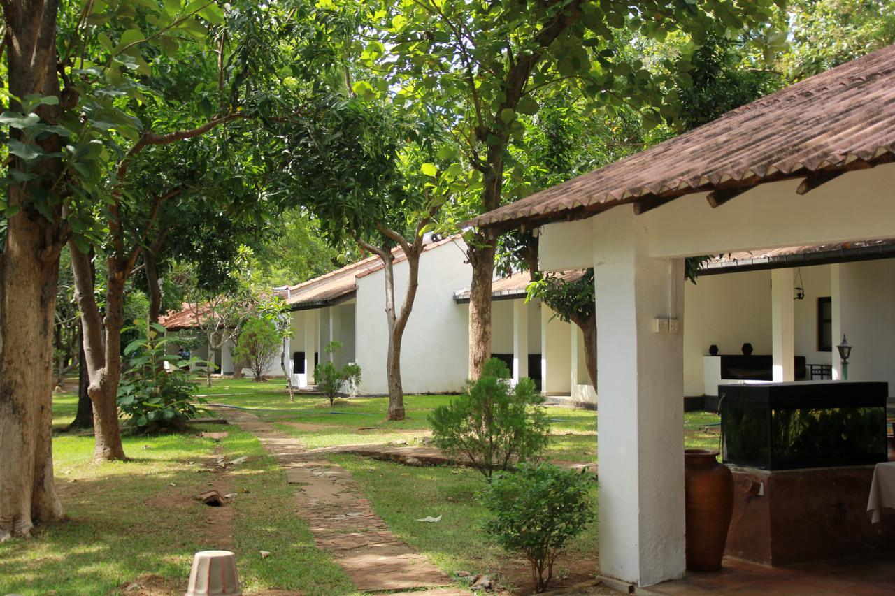 Dambulu Oya Family Park Hotell Dambulla Exteriör bild