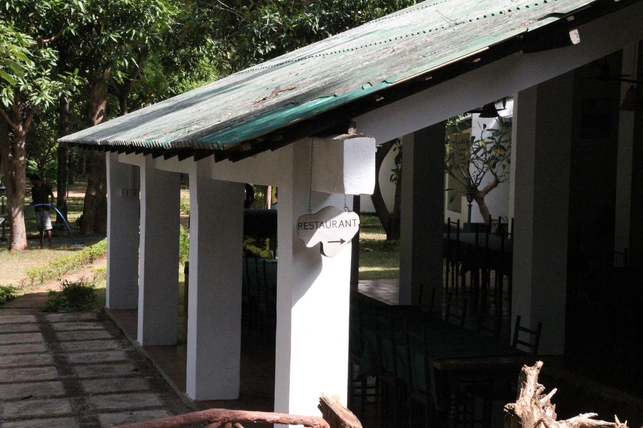 Dambulu Oya Family Park Hotell Dambulla Exteriör bild