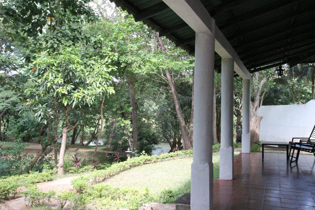 Dambulu Oya Family Park Hotell Dambulla Exteriör bild