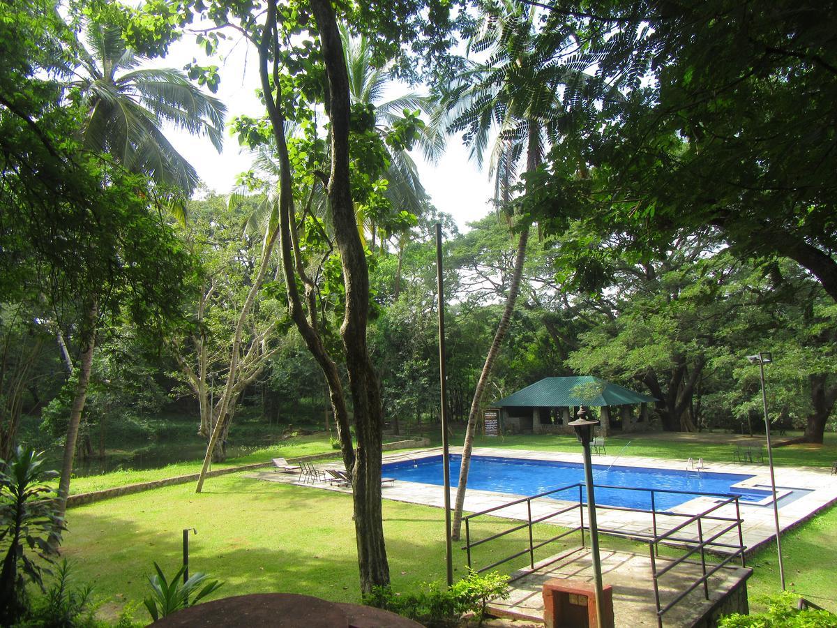 Dambulu Oya Family Park Hotell Dambulla Exteriör bild