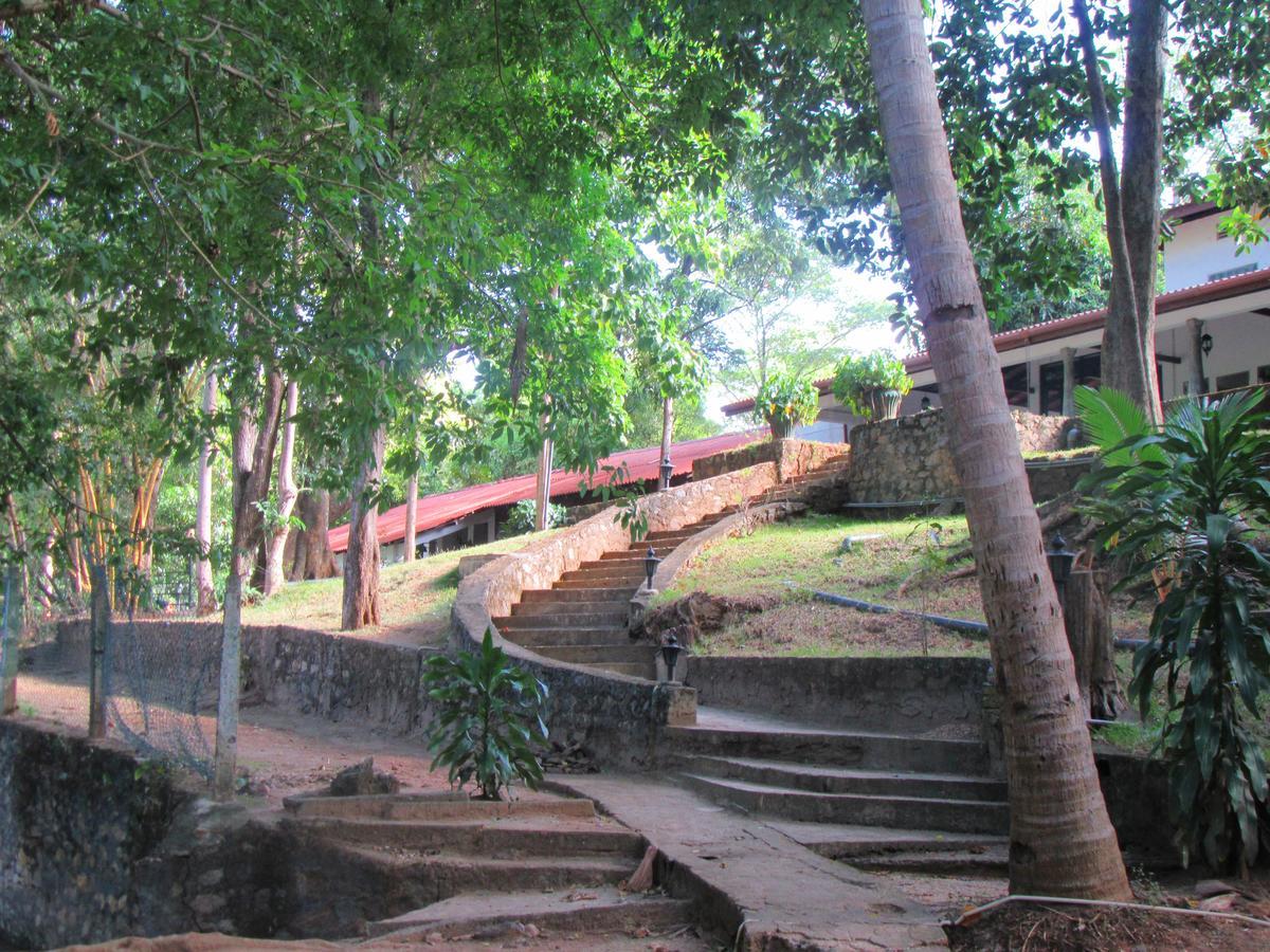 Dambulu Oya Family Park Hotell Dambulla Exteriör bild