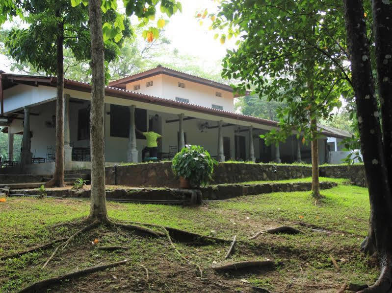 Dambulu Oya Family Park Hotell Dambulla Exteriör bild