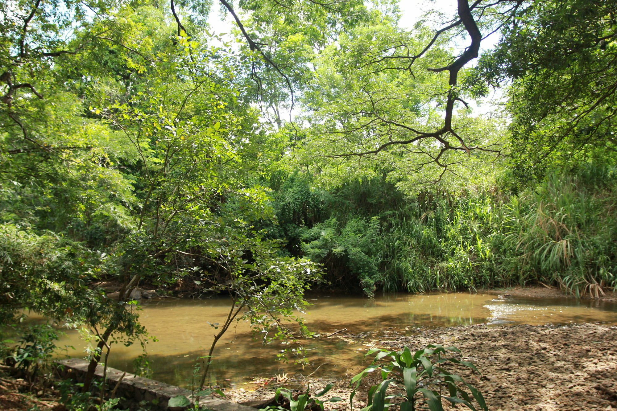 Dambulu Oya Family Park Hotell Dambulla Exteriör bild