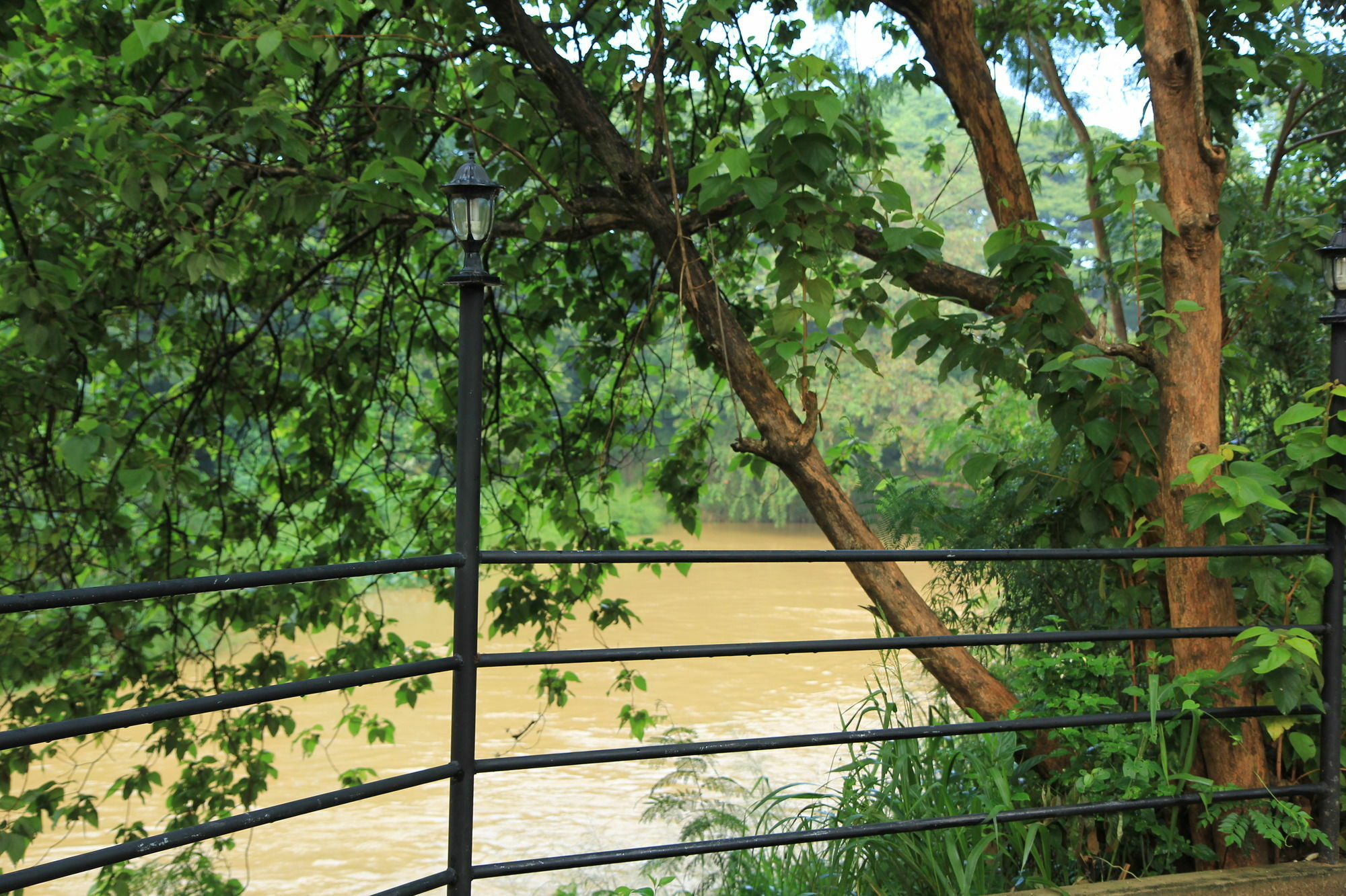 Dambulu Oya Family Park Hotell Dambulla Exteriör bild