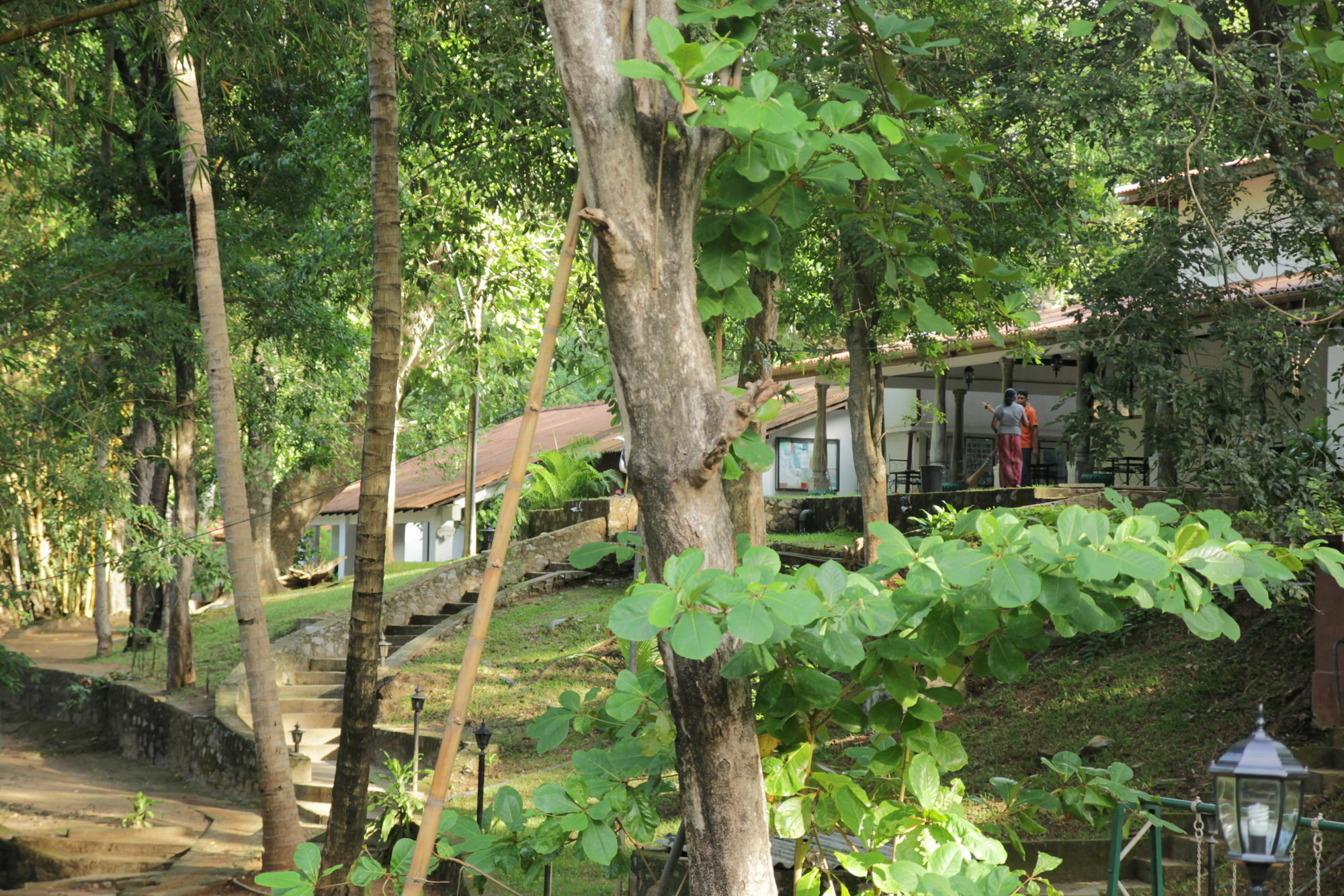 Dambulu Oya Family Park Hotell Dambulla Exteriör bild