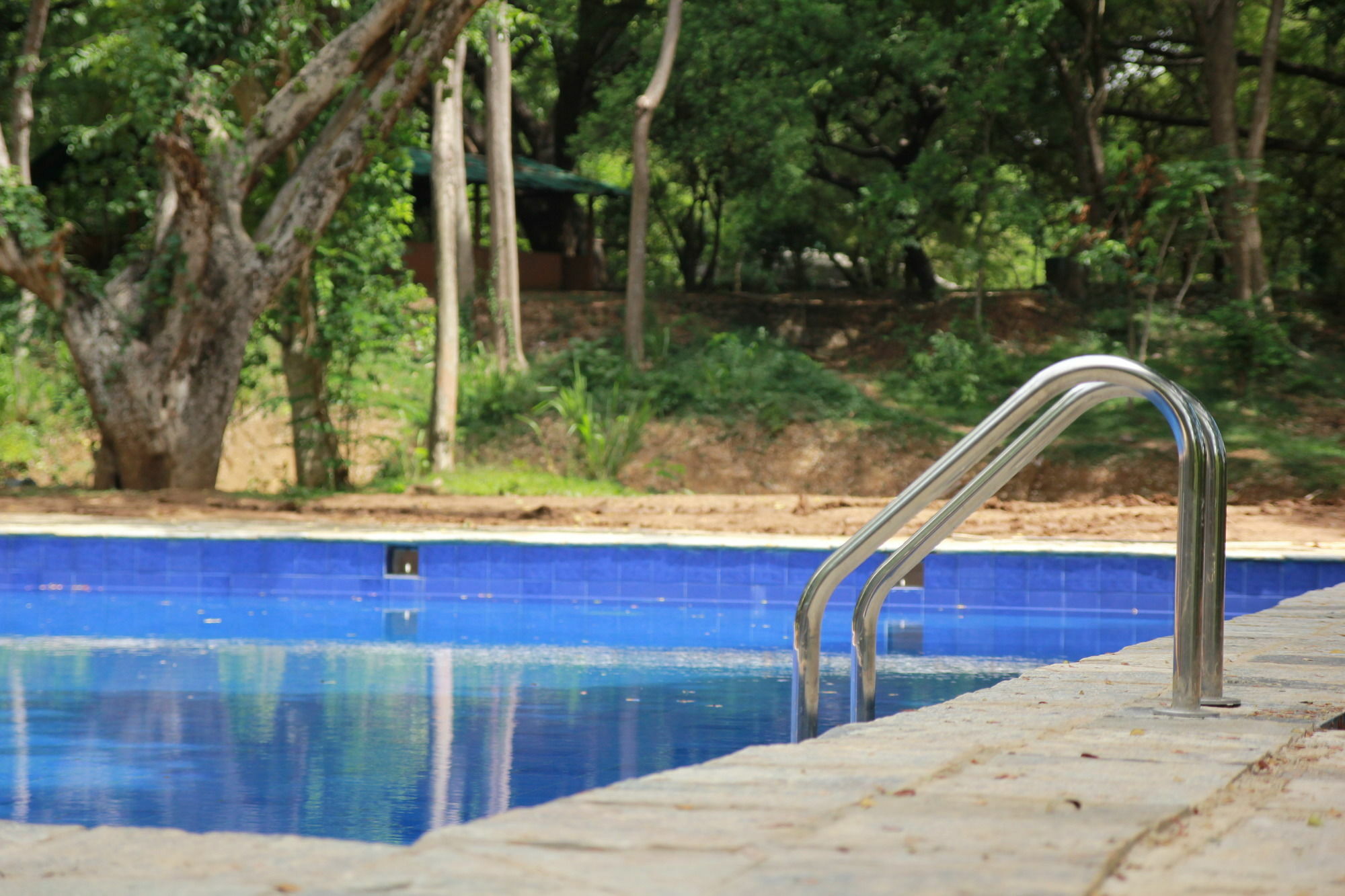 Dambulu Oya Family Park Hotell Dambulla Exteriör bild