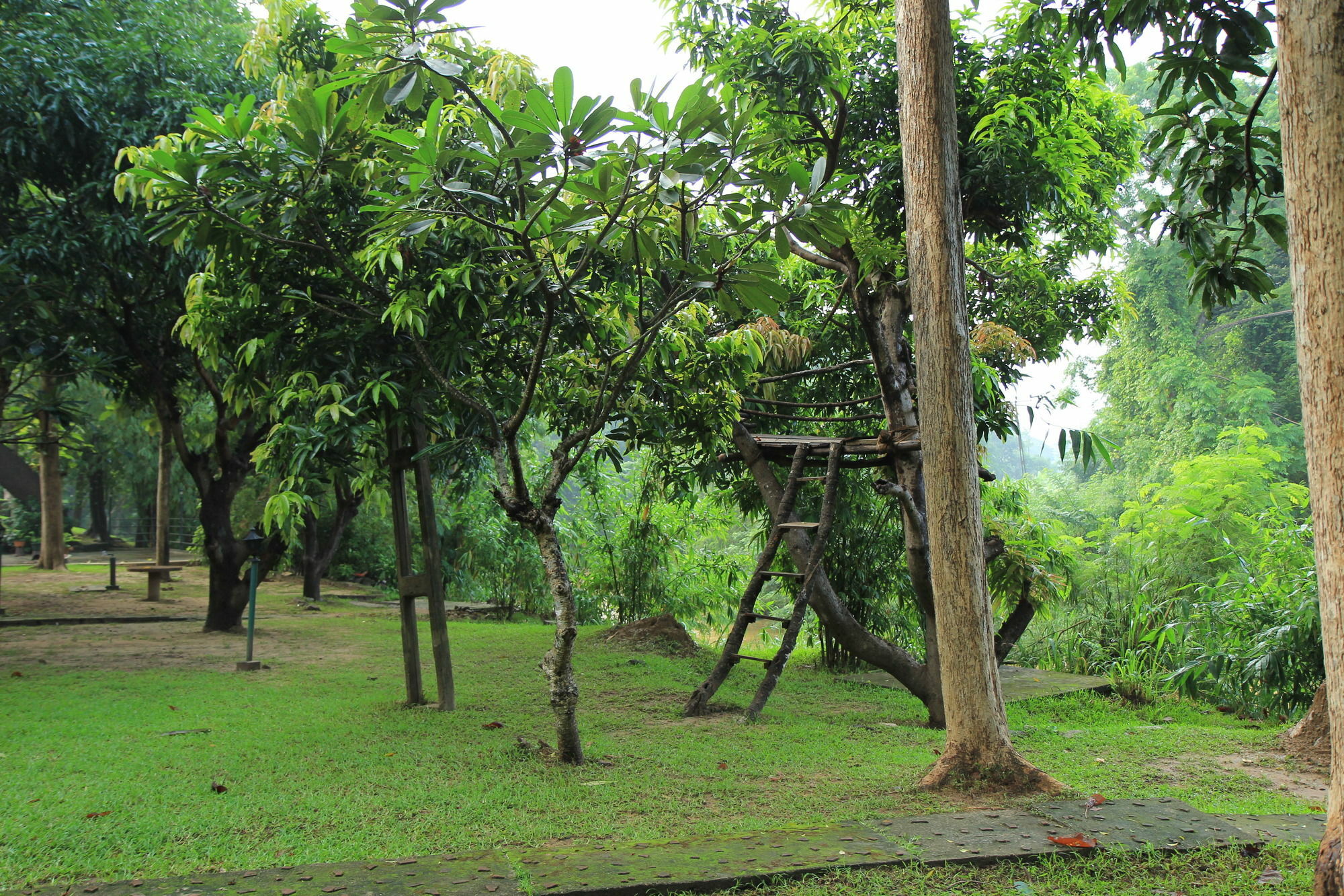 Dambulu Oya Family Park Hotell Dambulla Exteriör bild